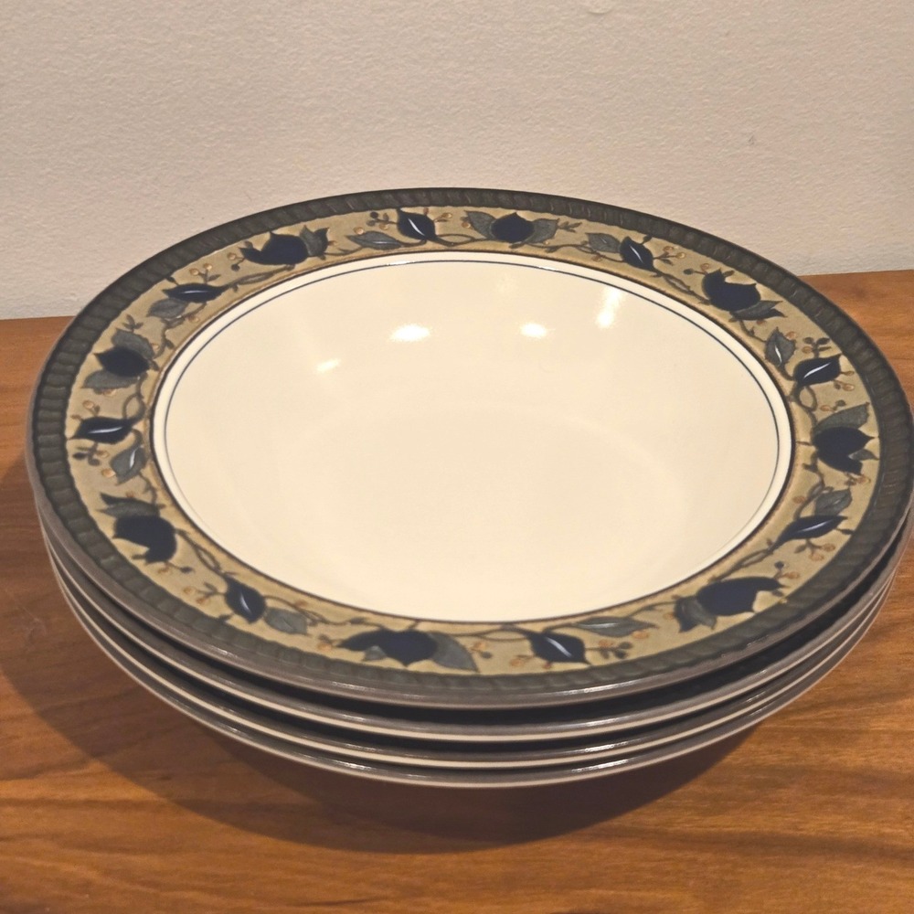 Mikasa Intaglio Arabella CAC01 Set of 4 Rimmed Soup Bowls 9.25" Pasta Stoneware
